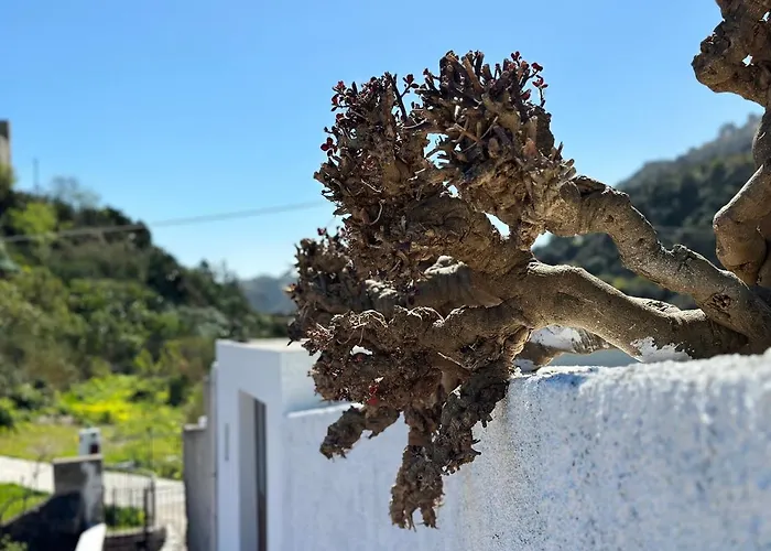 아파트 La Milanina