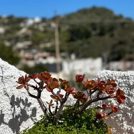 Lejlighed La Milanina *