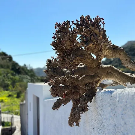 Lejlighed La Milanina