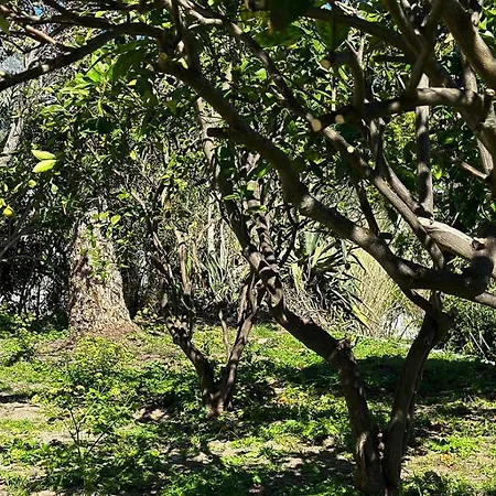 Apartmán La Milanina Lipari (Isola Lipari)