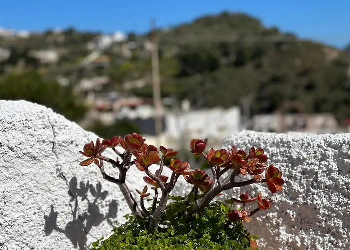 Διαμέρισμα La Milanina *