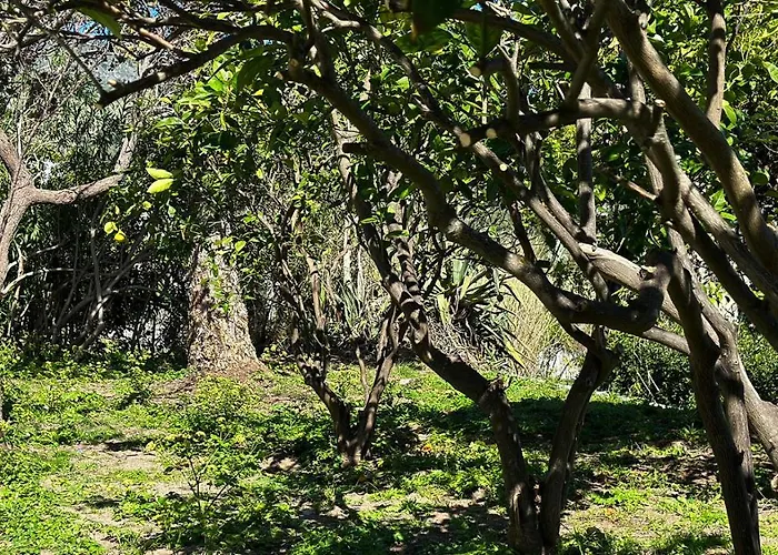 Appartamento La Milanina Città di Lipari